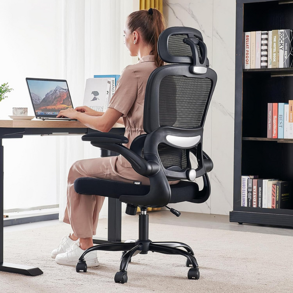 Office Furniture