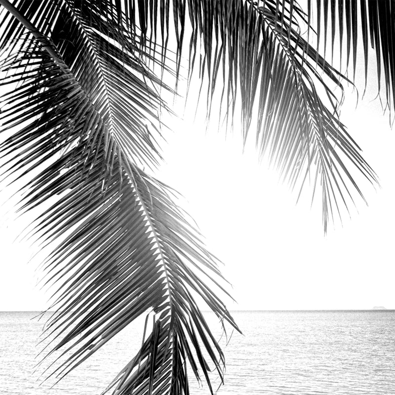Tropical Palm Leaf Canvas Wall Art