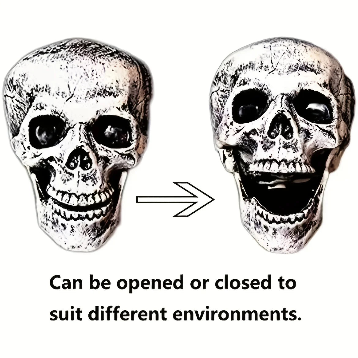 Realistic Skeleton Stakes – Skull