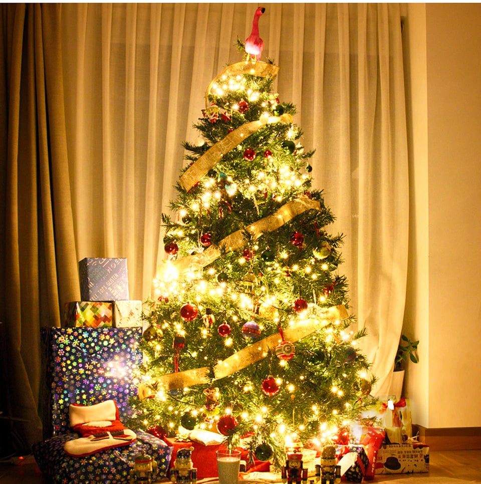 Outdoor LED Fairy String Lights