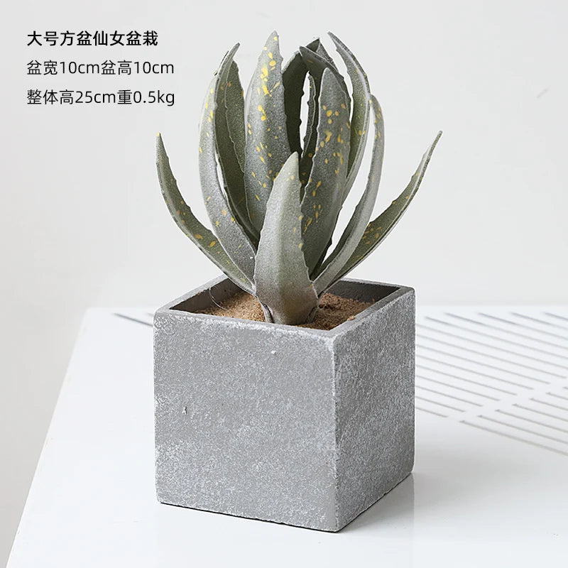 Small Indoor Desk Décor