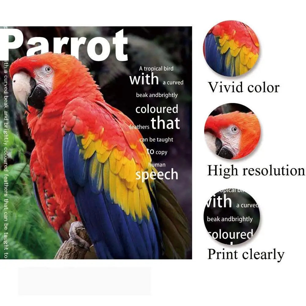 A4 100 Sheets Glossy Photo Paper