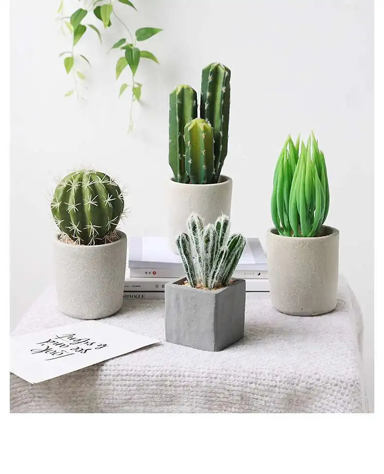 Small Indoor Desk Décor