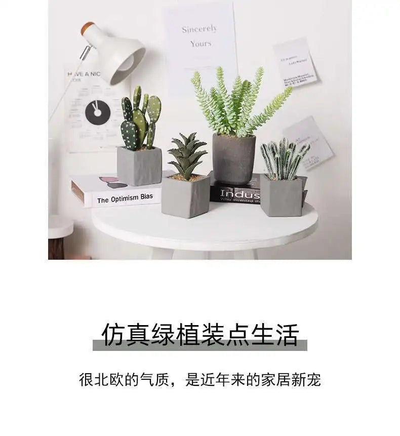 Small Indoor Desk Décor