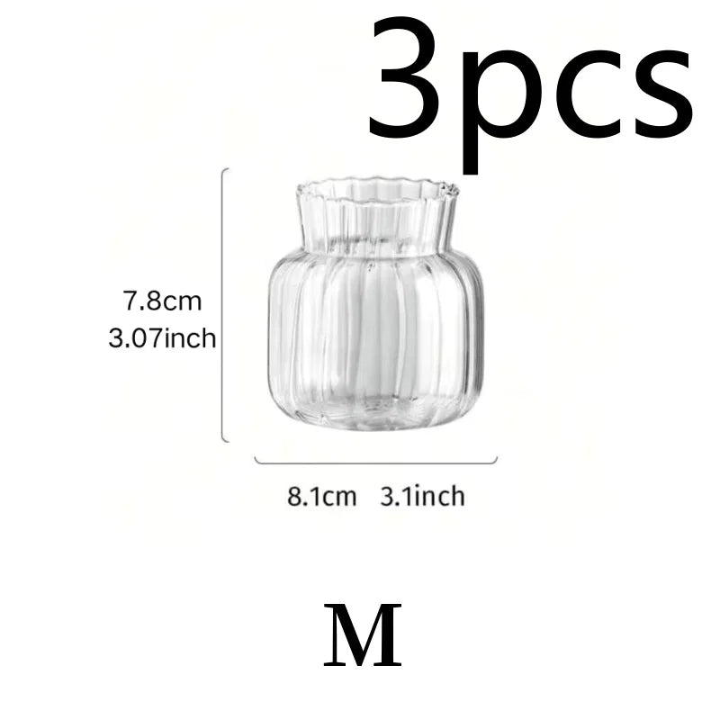 Nordic Glass Vases – Transparent Hydroponic Flower Containers