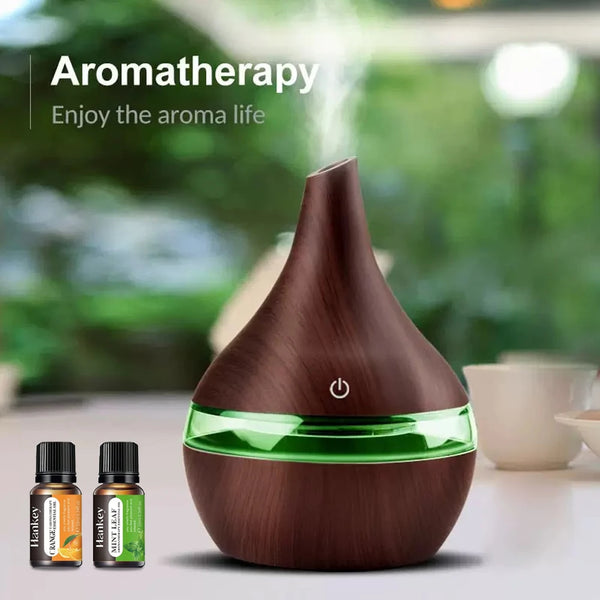 300ml Portable USB Humidifier & Diffuser