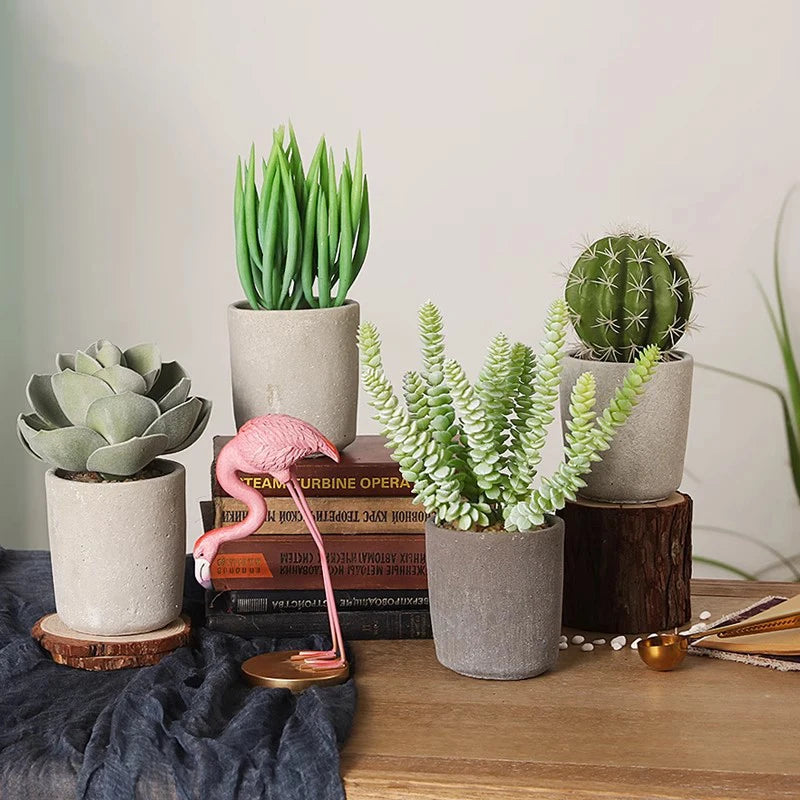 Small Indoor Desk Décor