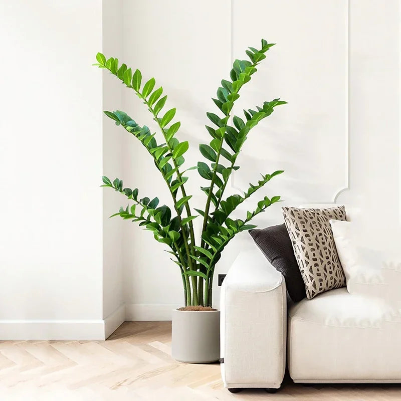 40–70cm Artificial Ficus Tree