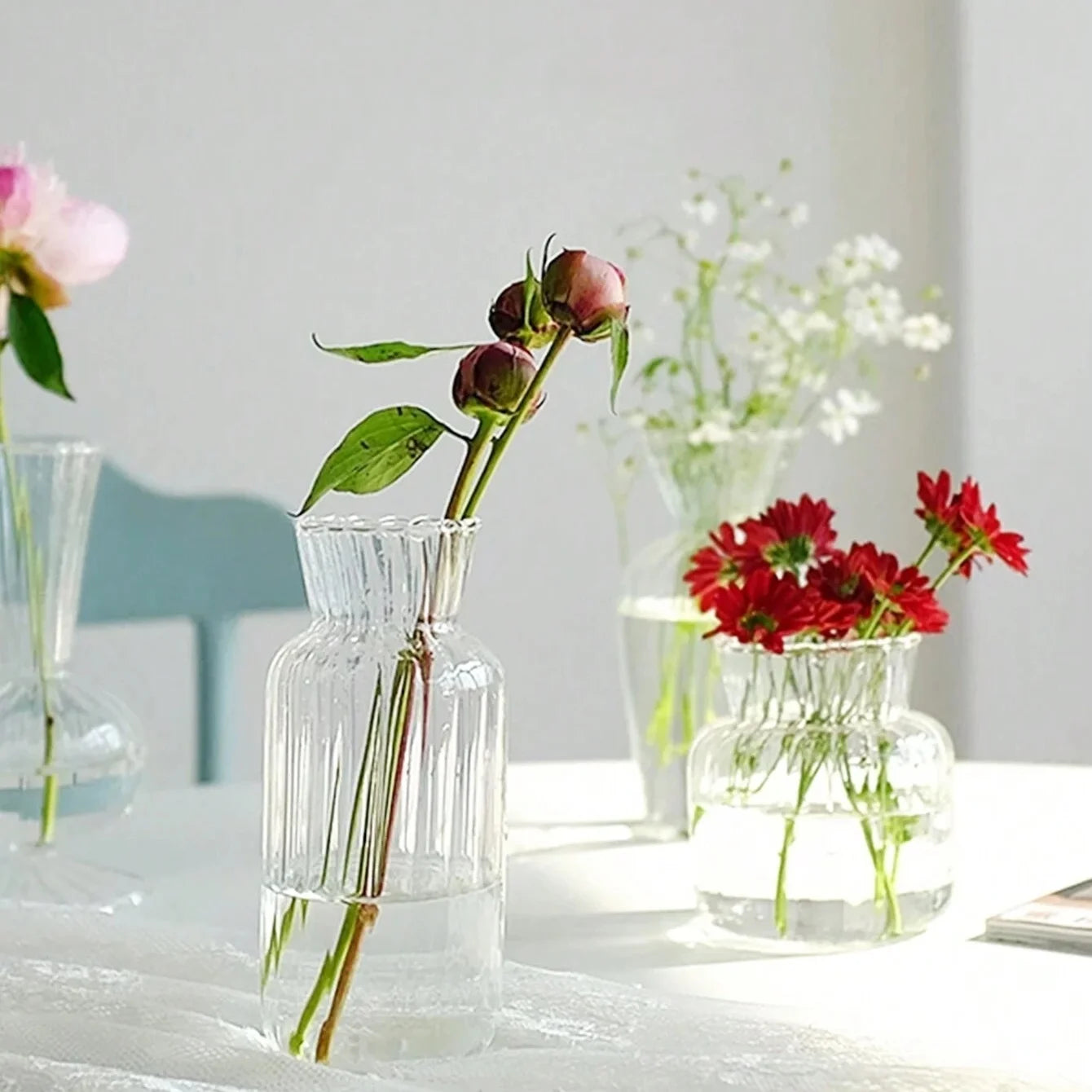 Nordic Glass Vases – Transparent Hydroponic Flower Containers