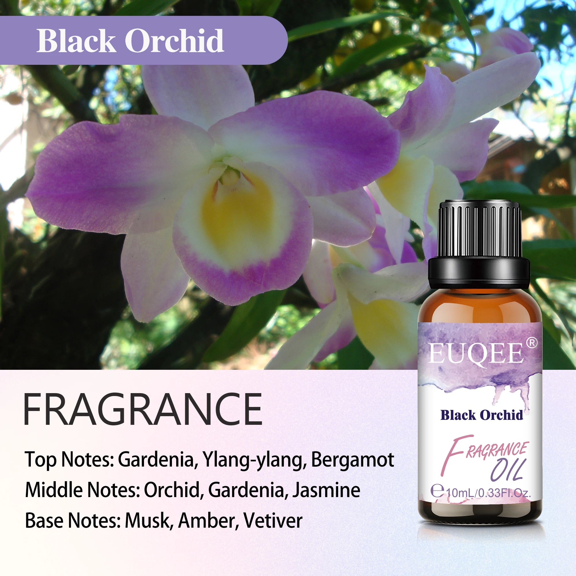EUQEE Fragrance Oil for Diffusers and Candles