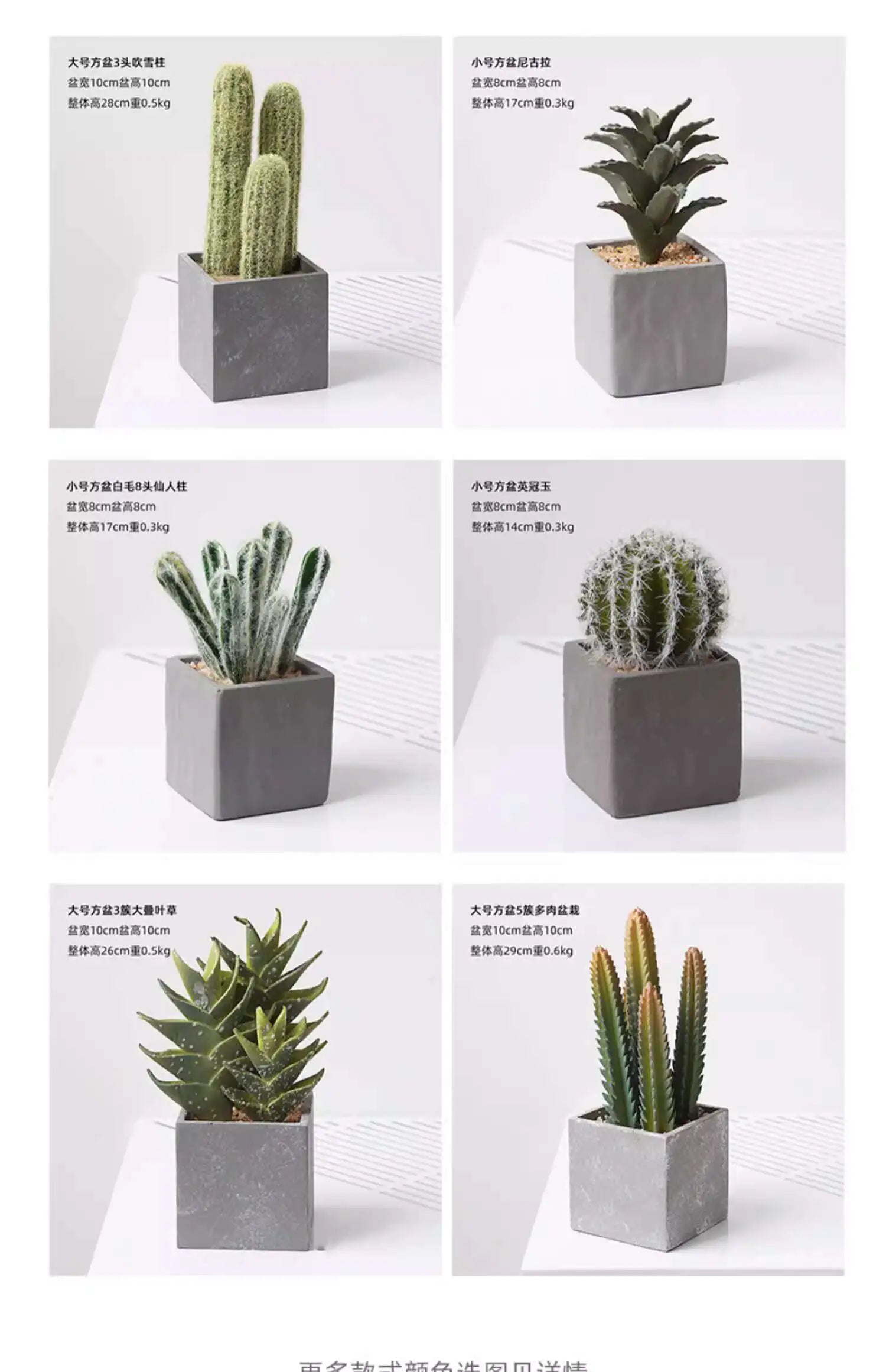 Small Indoor Desk Décor