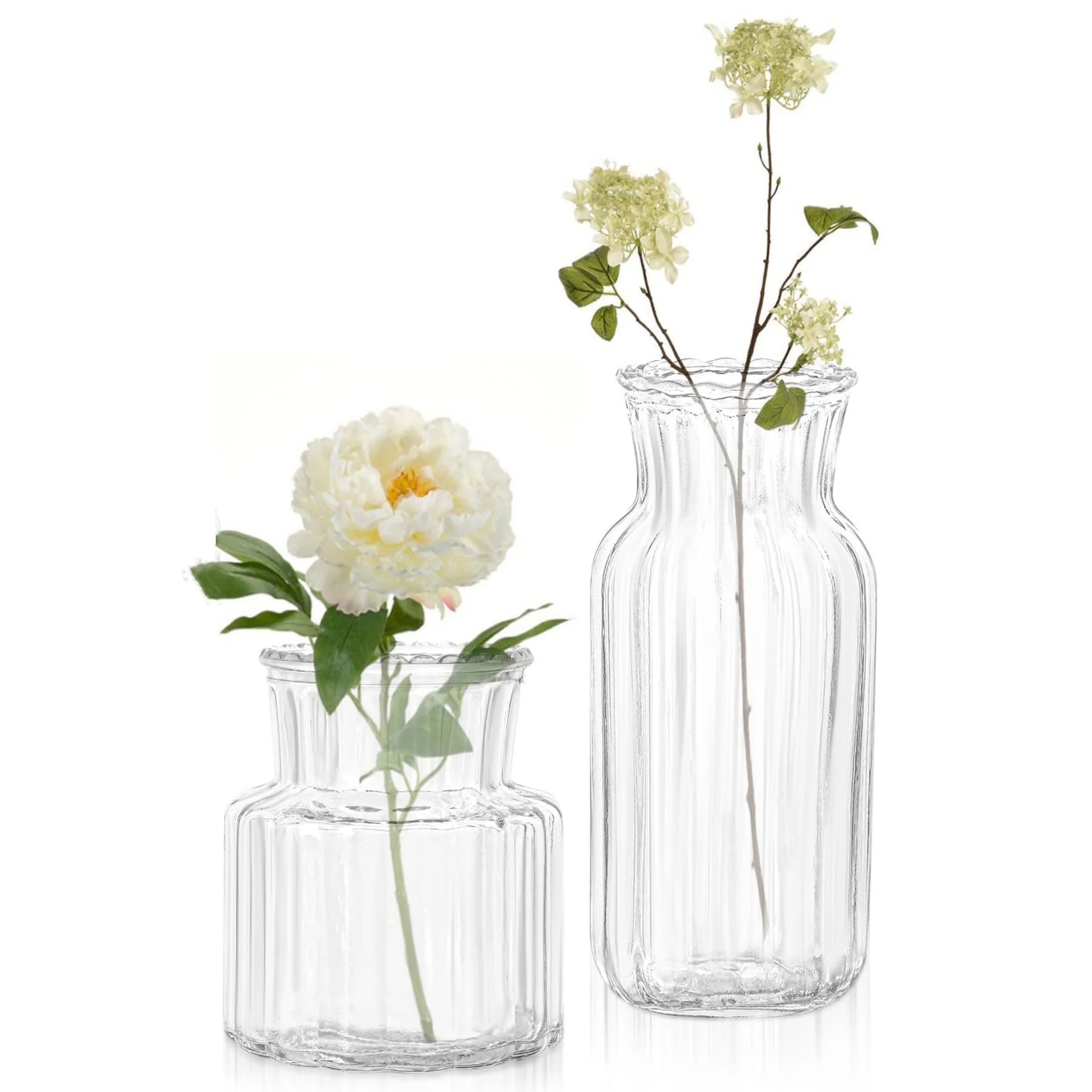 Nordic Glass Vases – Transparent Hydroponic Flower Containers