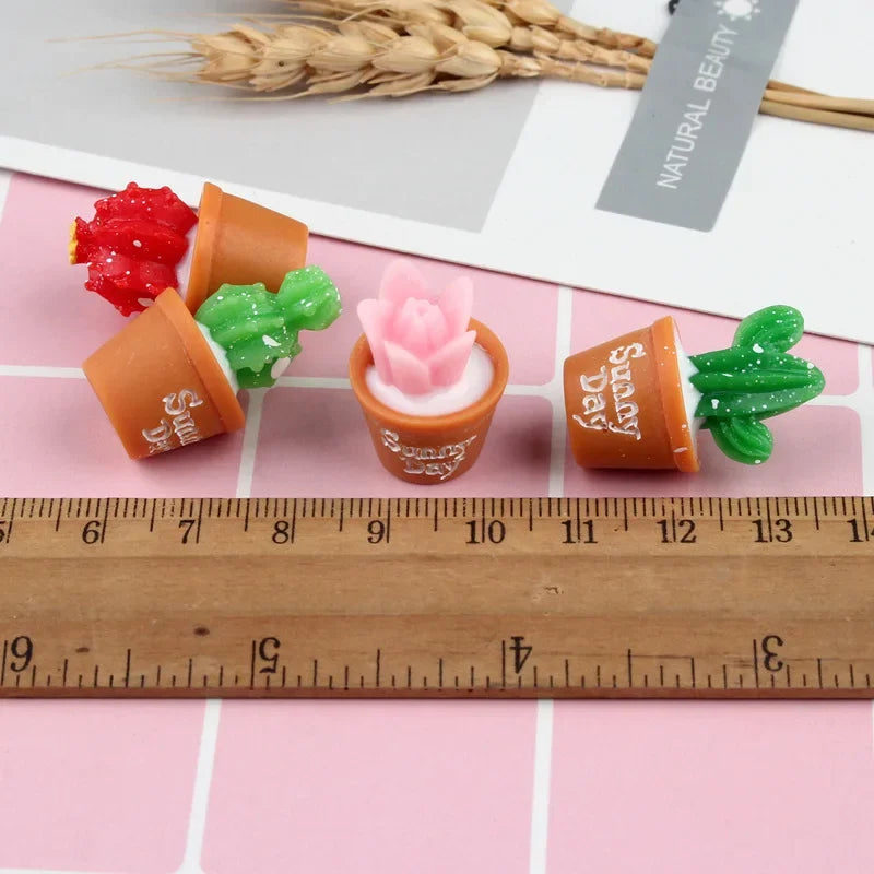 Mini Cactus Decor Set