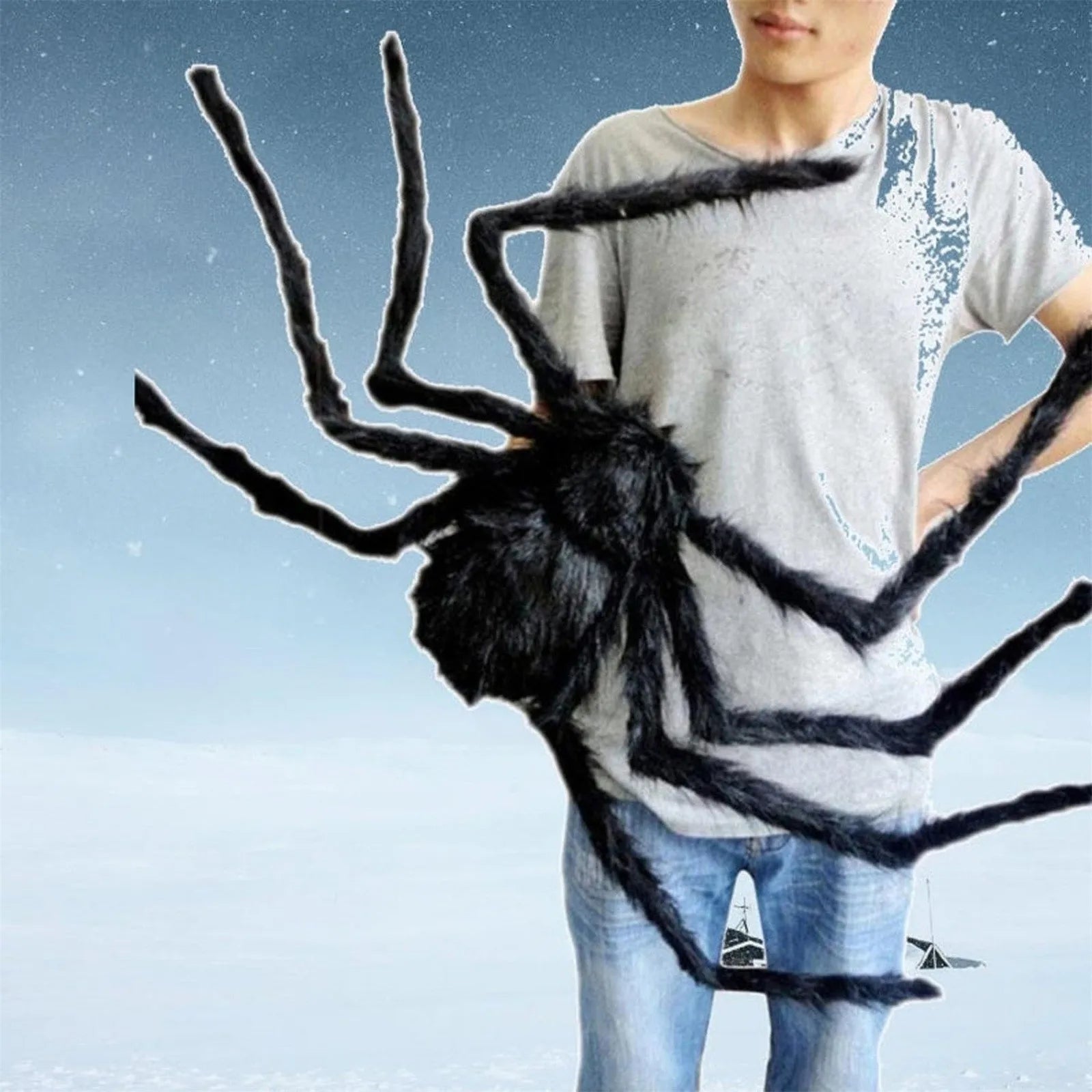 Large Black Halloween Spider