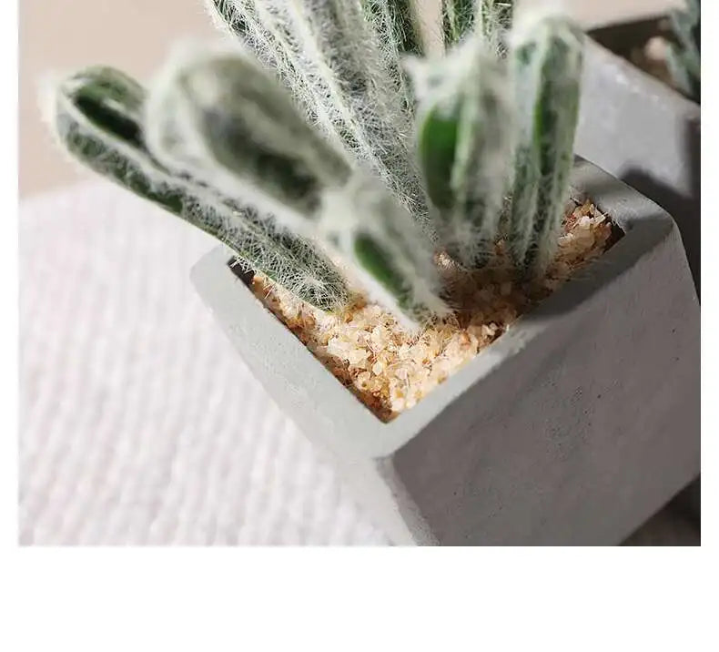 Small Indoor Desk Décor