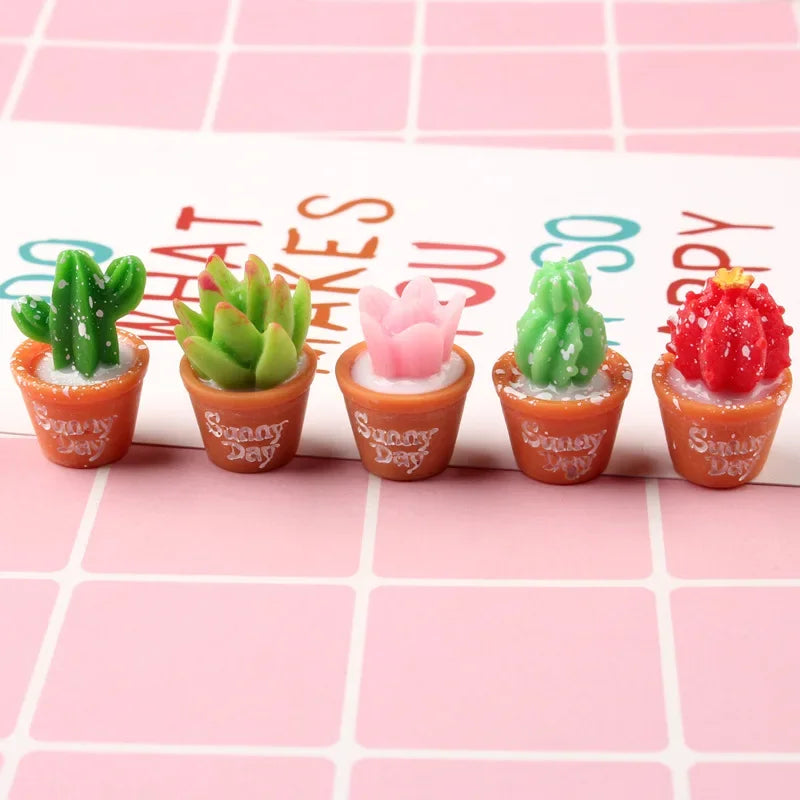 Mini Cactus Decor Set