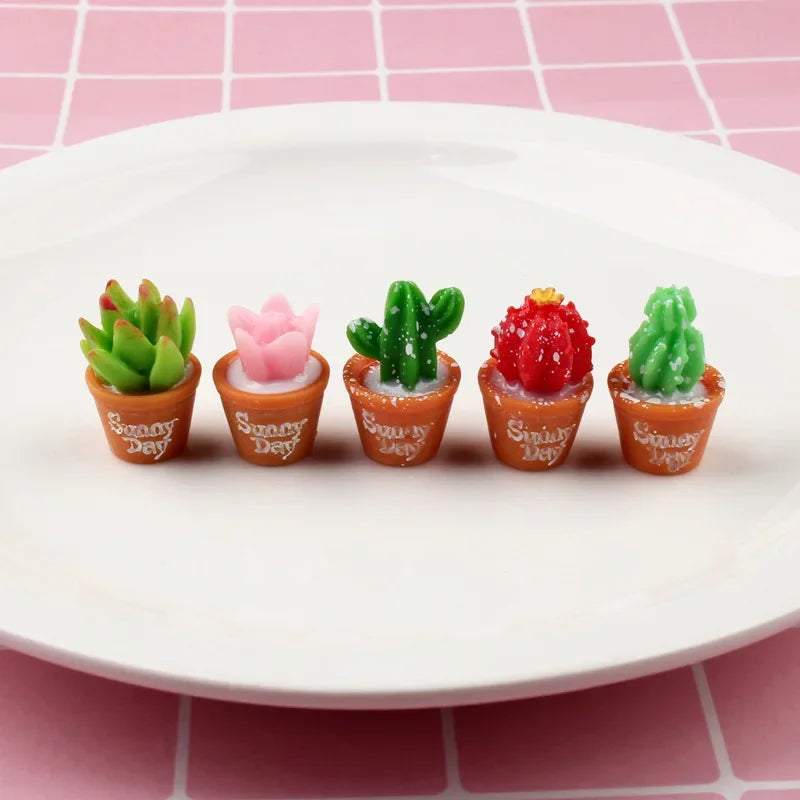 Mini Cactus Decor Set