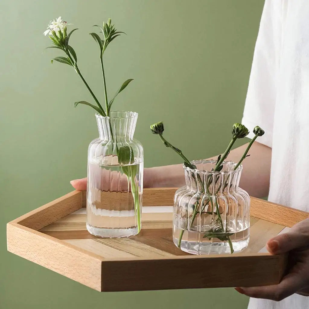 Nordic Glass Vases – Transparent Hydroponic Flower Containers