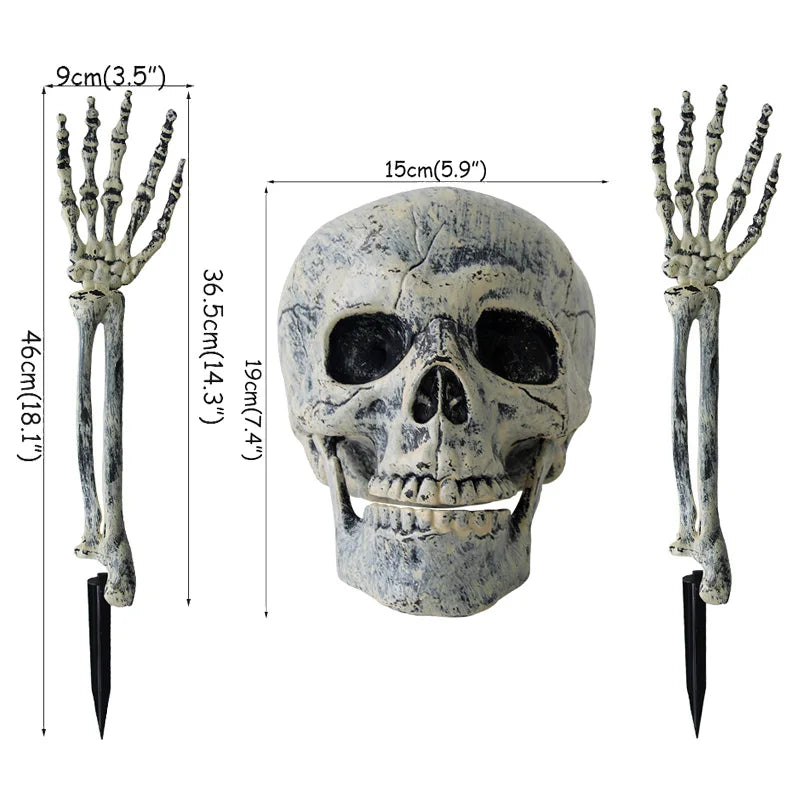 Realistic Skeleton Stakes – Skull