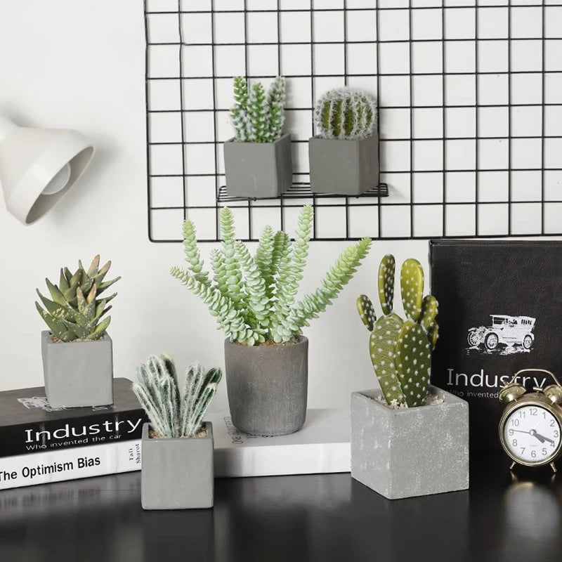 Small Indoor Desk Décor