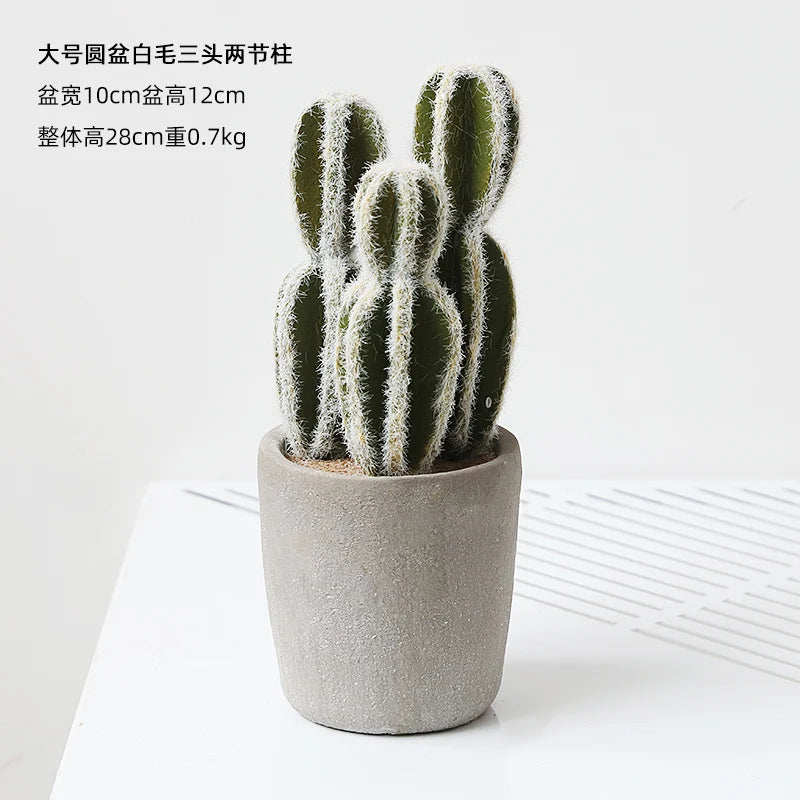 Small Indoor Desk Décor