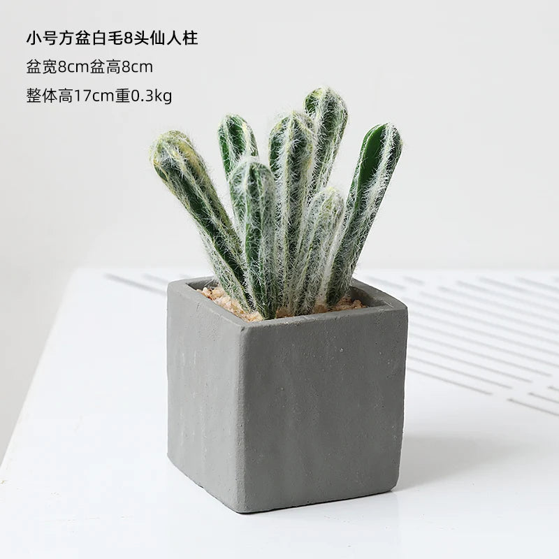 Small Indoor Desk Décor