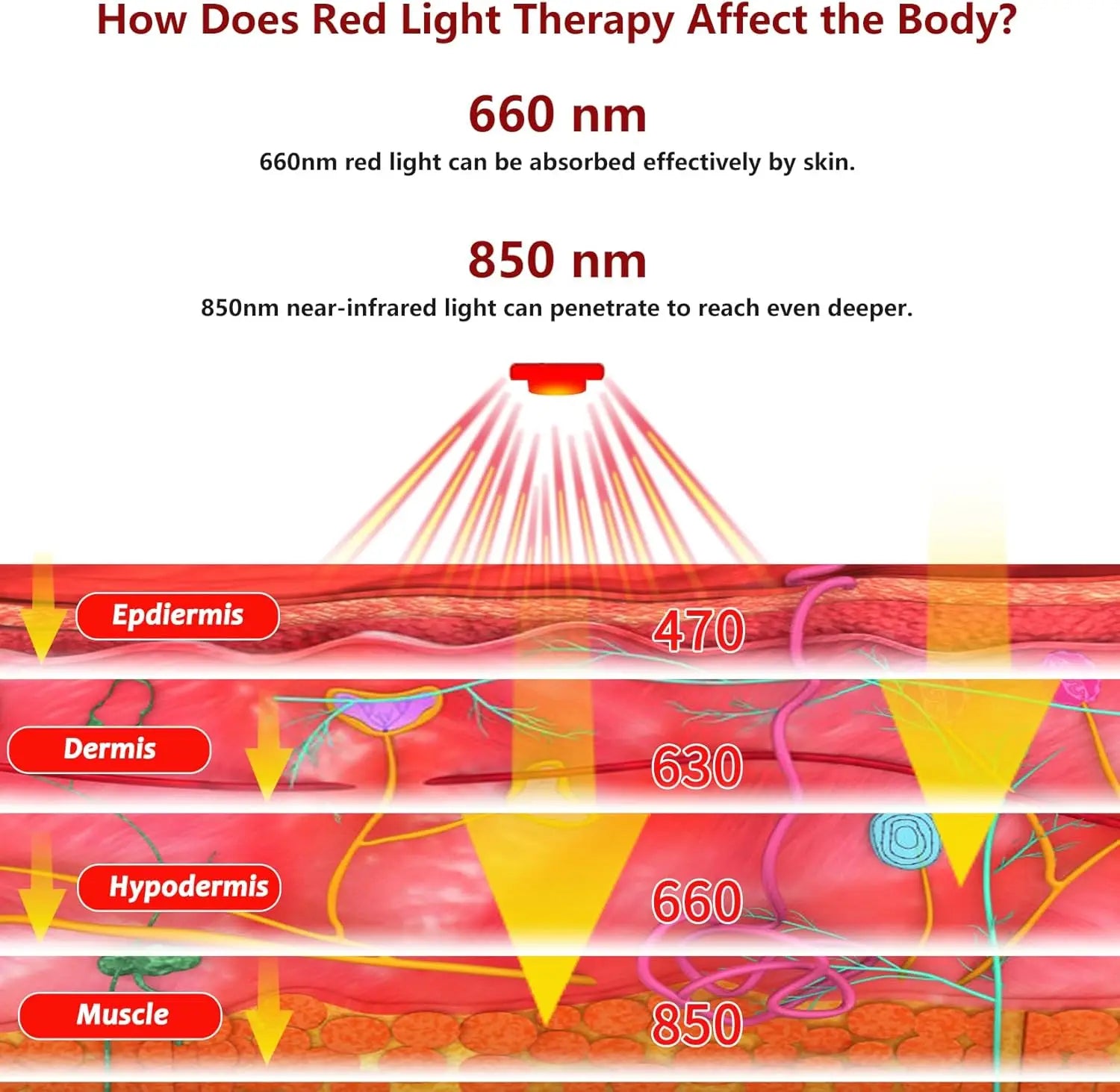 Red Light Therapy Shoulder Brace