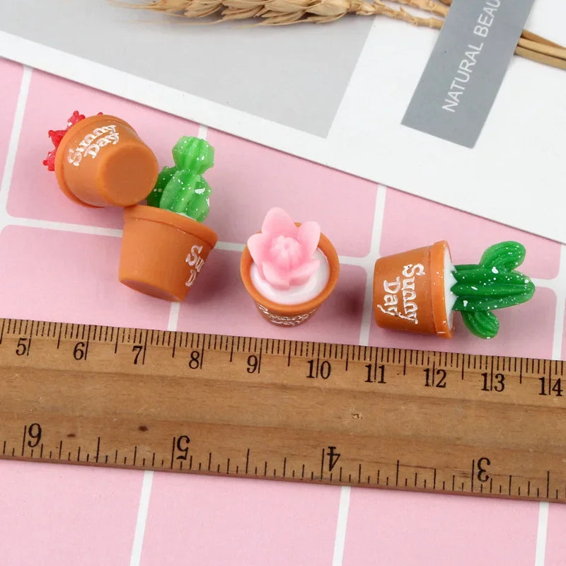 Mini Cactus Decor Set