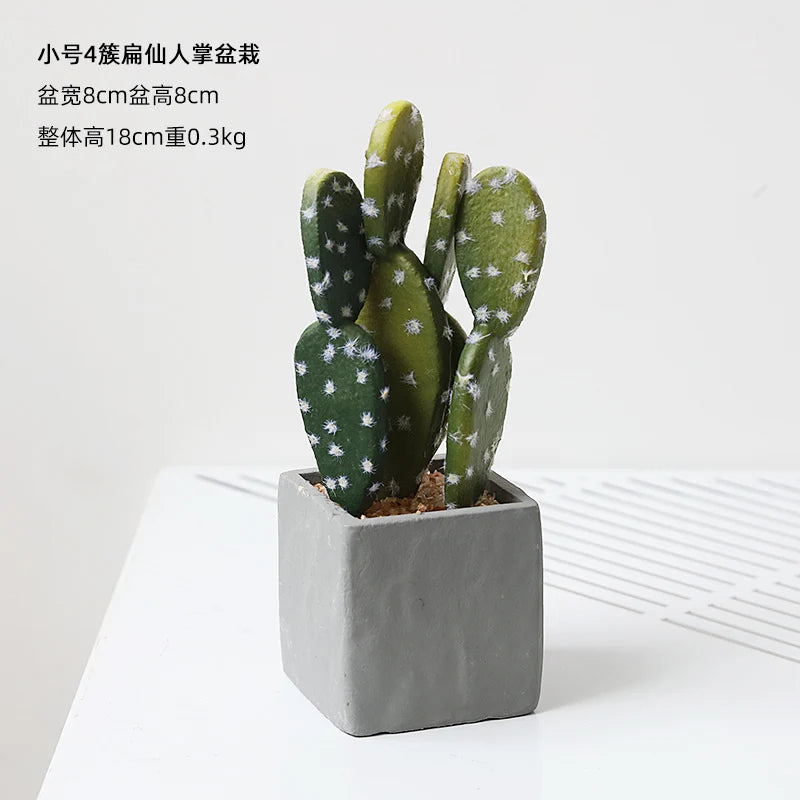 Small Indoor Desk Décor