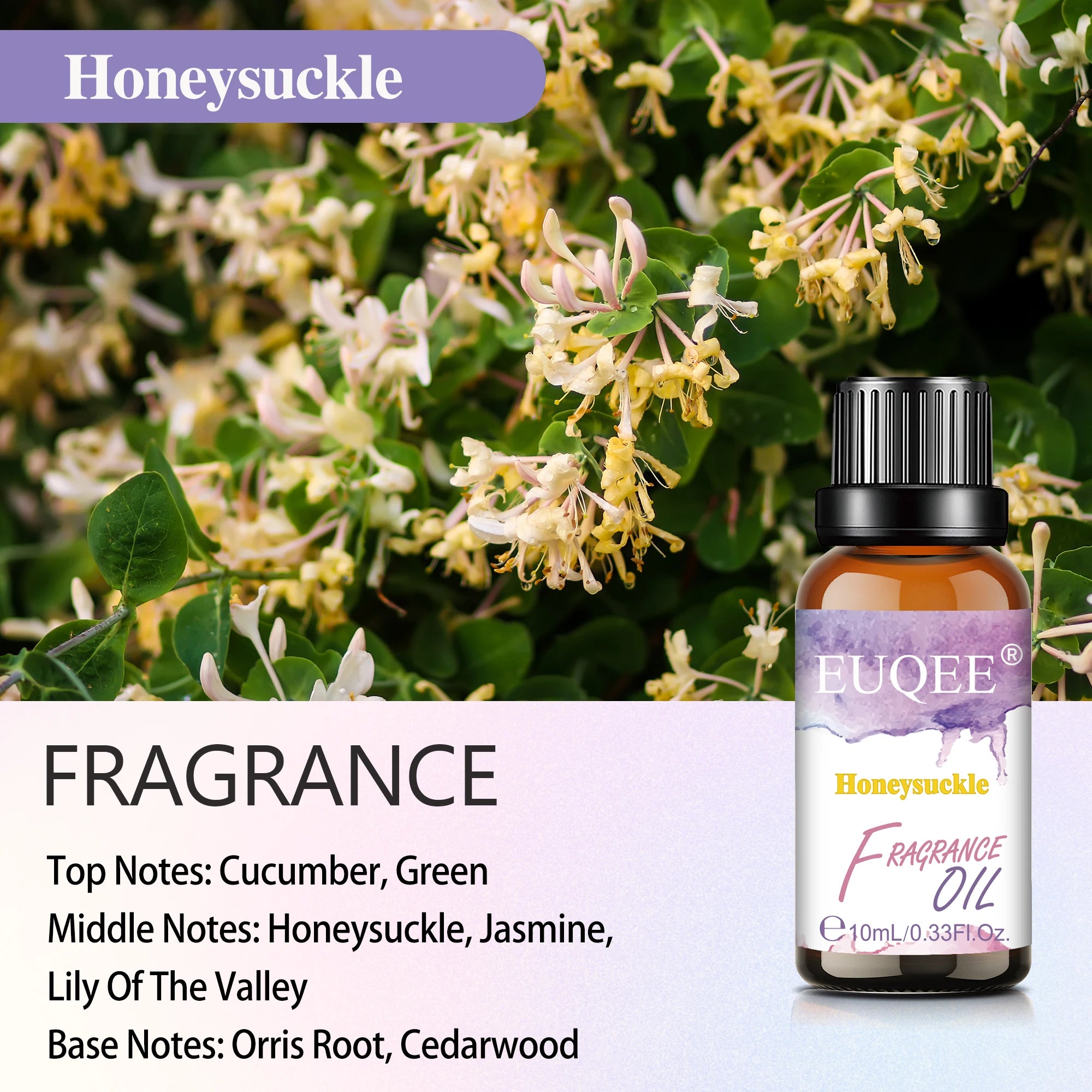 EUQEE Fragrance Oil for Diffusers and Candles