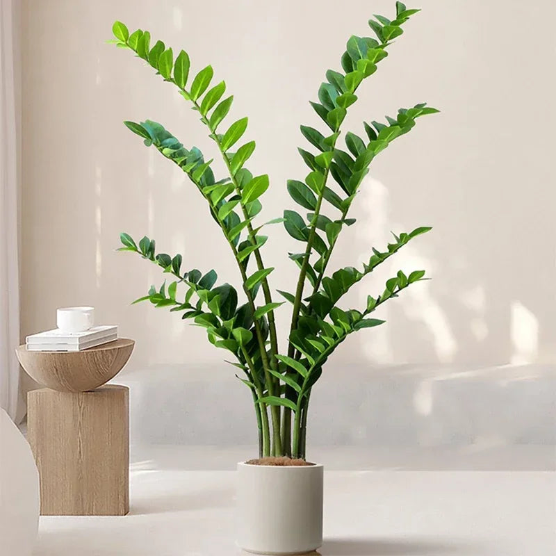 40–70cm Artificial Ficus Tree