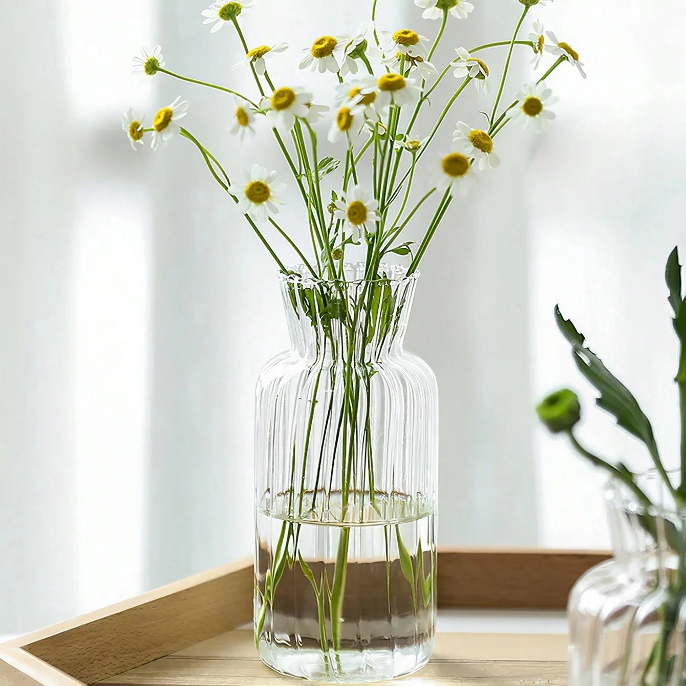 Nordic Glass Vases – Transparent Hydroponic Flower Containers