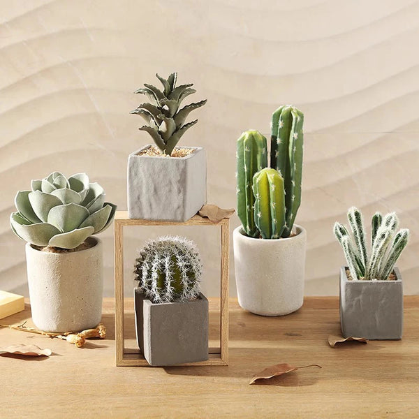 Small Indoor Desk Décor