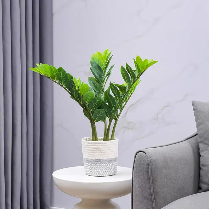 40–70cm Artificial Ficus Tree
