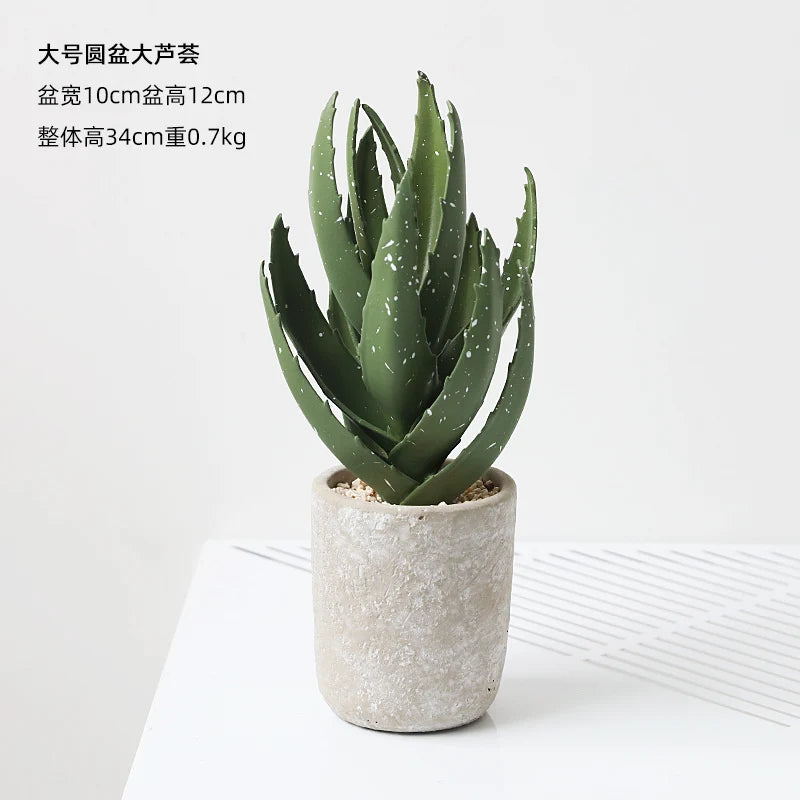 Small Indoor Desk Décor
