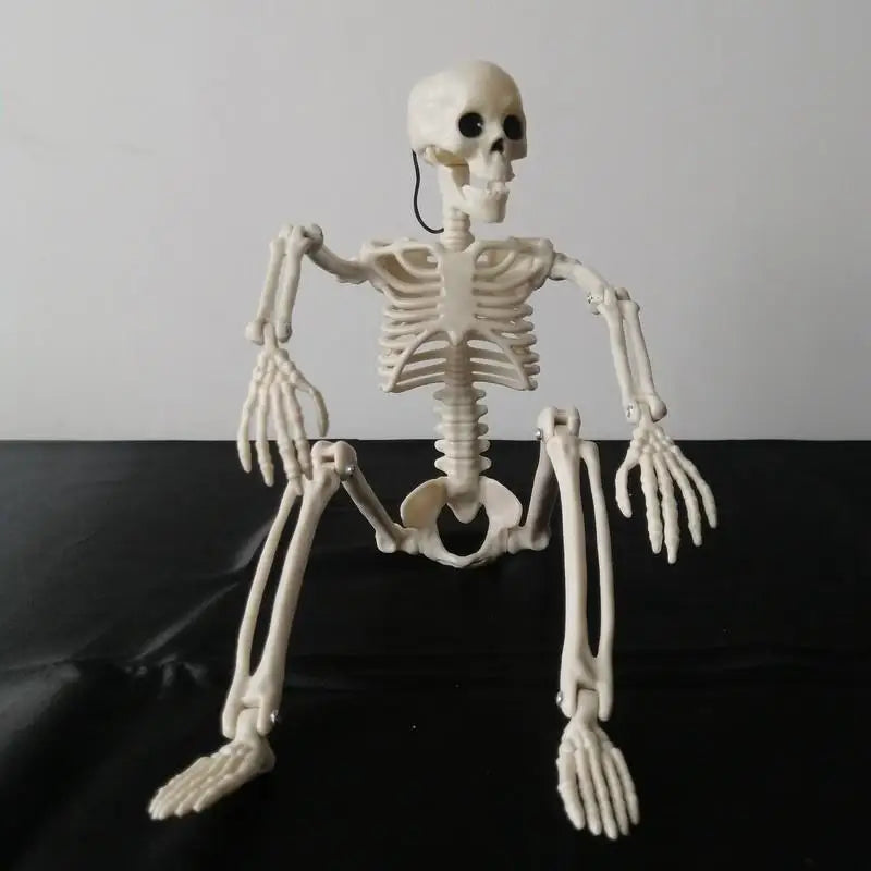 Movable Skeleton Skull & Bones