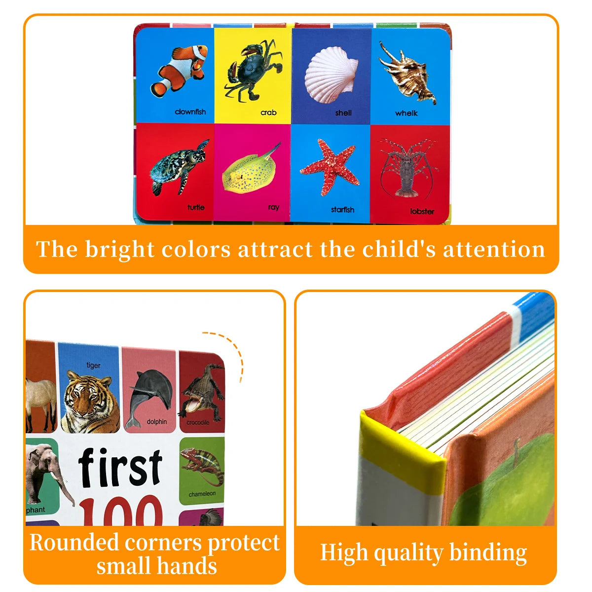 1-100 Animal Species Coloring & Learning Book