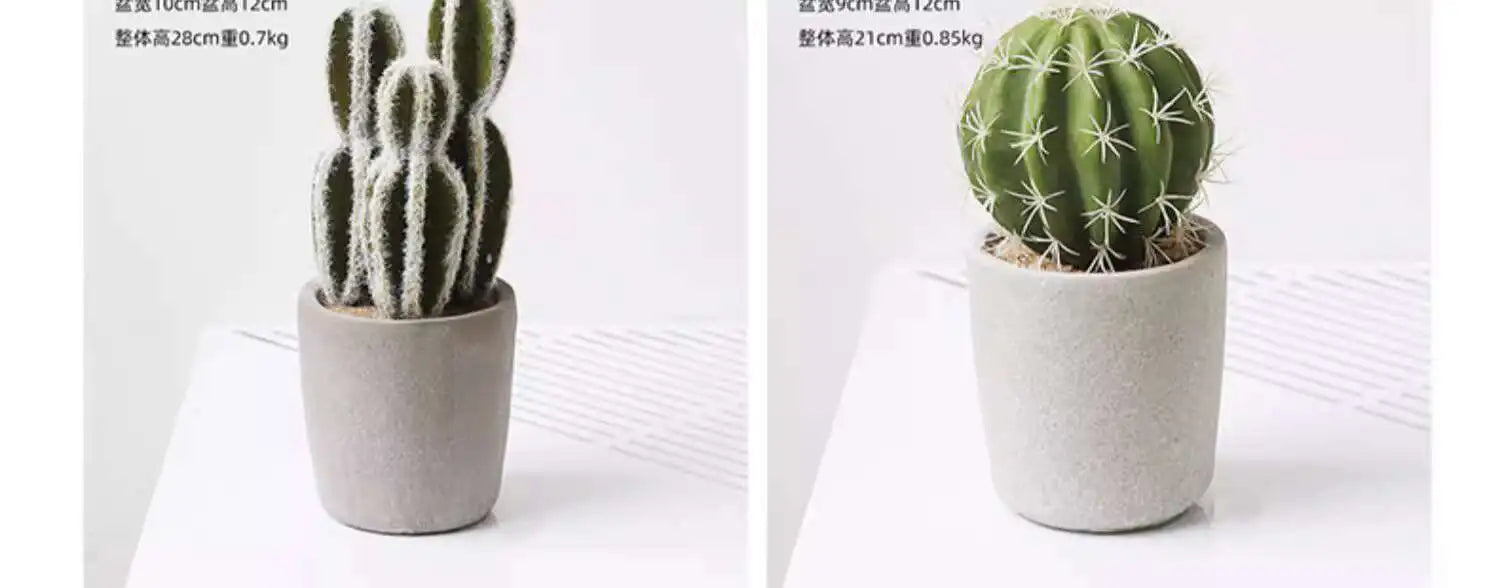 Small Indoor Desk Décor
