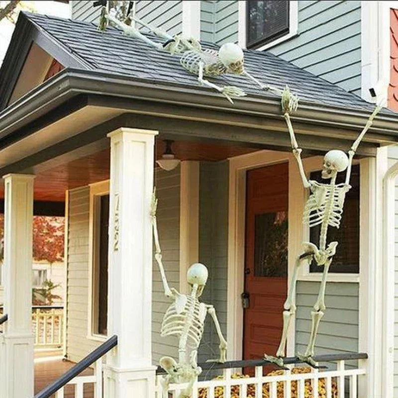 Movable Skeleton Skull & Bones