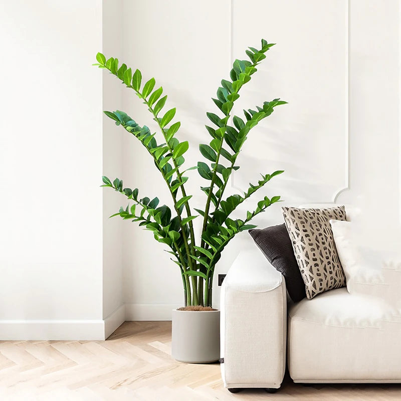 40–70cm Artificial Ficus Tree