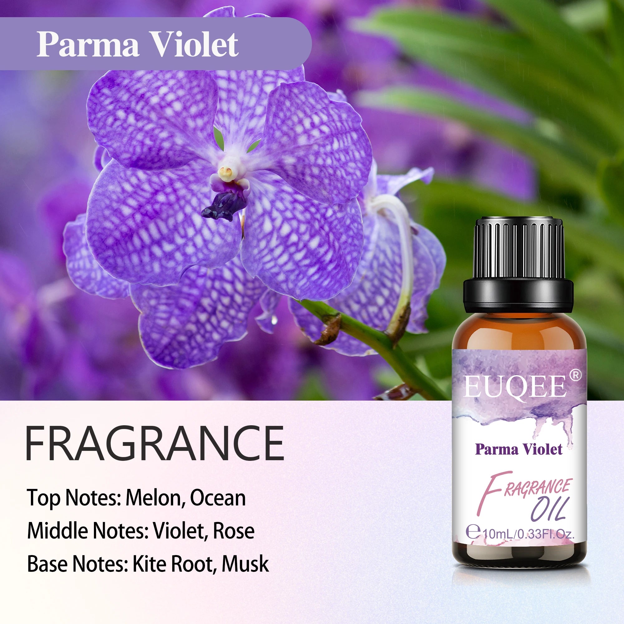 EUQEE Fragrance Oil for Diffusers and Candles