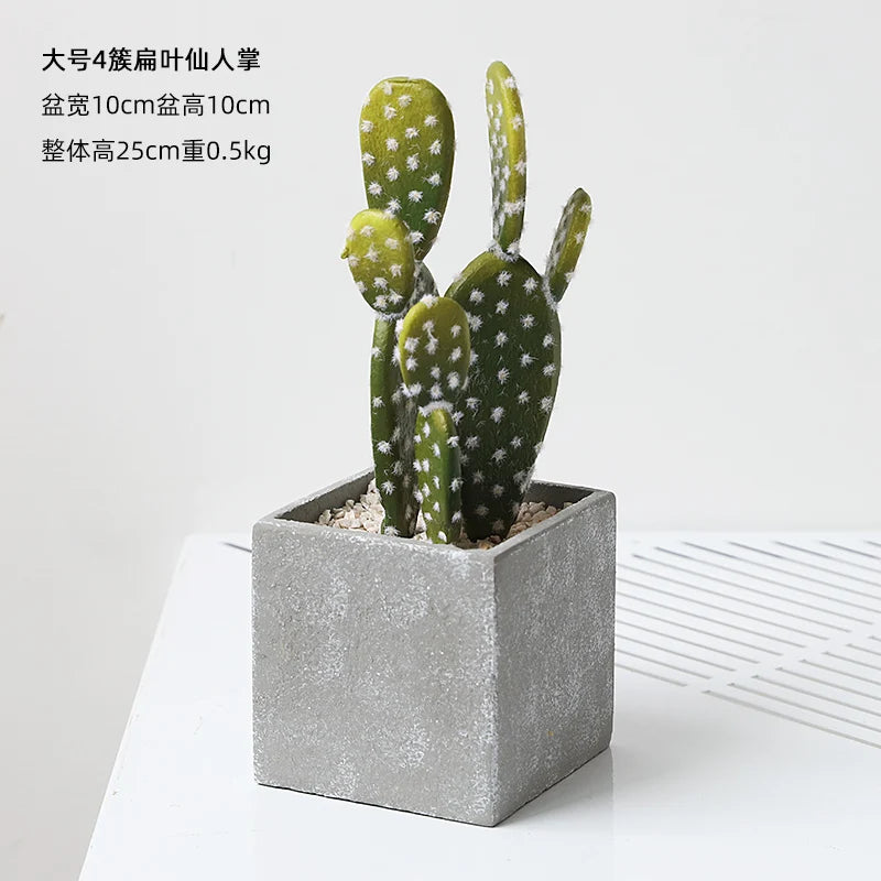 Small Indoor Desk Décor