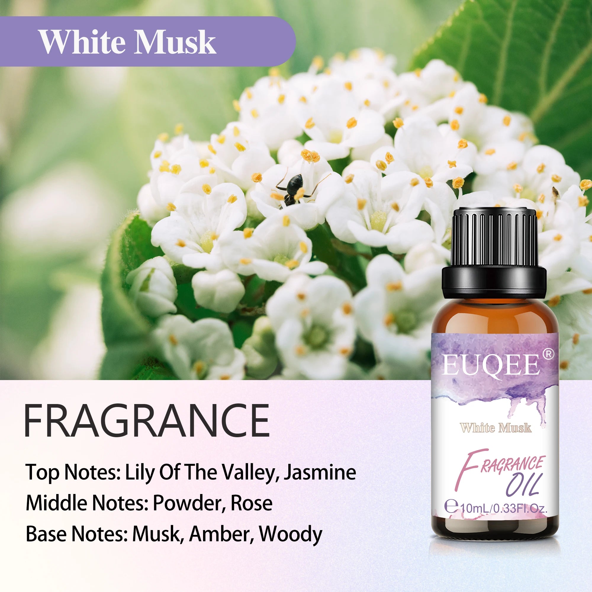 EUQEE Fragrance Oil for Diffusers and Candles