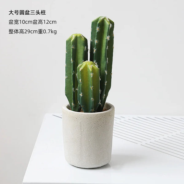 Small Indoor Desk Décor