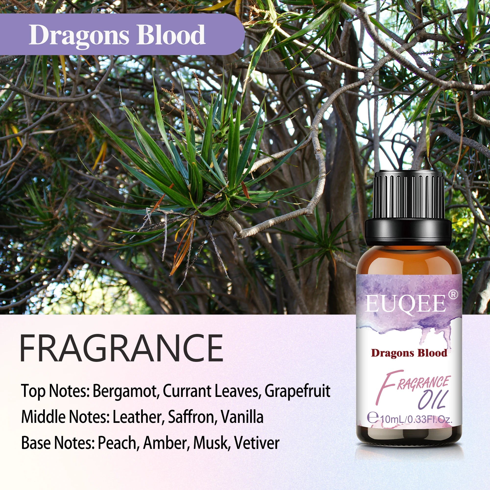 EUQEE Fragrance Oil for Diffusers and Candles