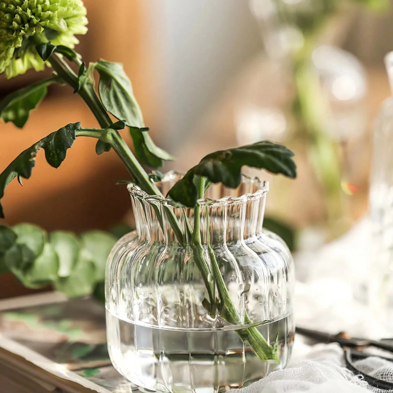 Nordic Glass Vases – Transparent Hydroponic Flower Containers