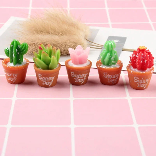 Mini Cactus Decor Set