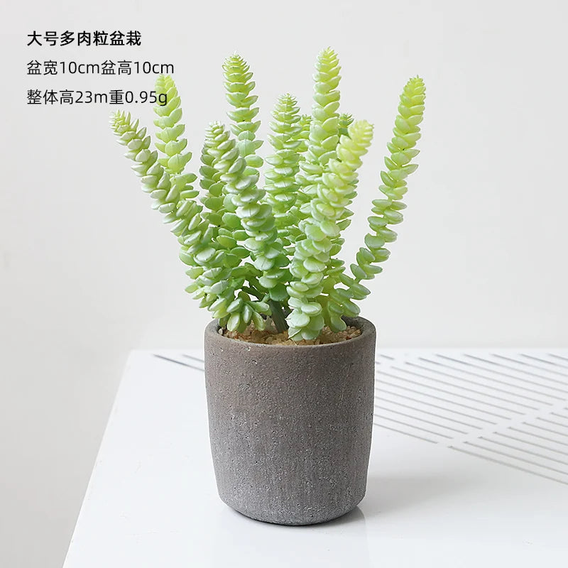 Small Indoor Desk Décor