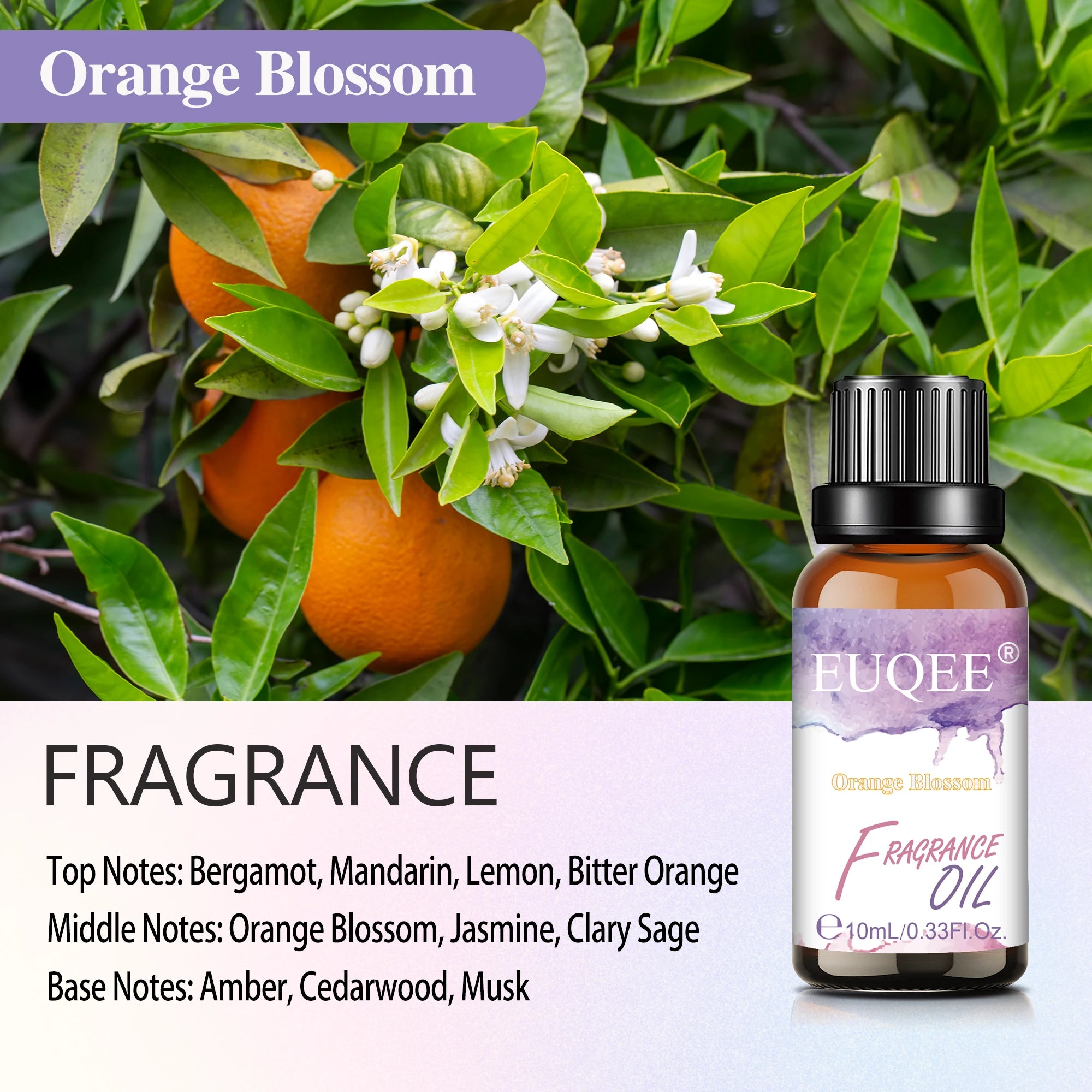 EUQEE Fragrance Oil for Diffusers and Candles