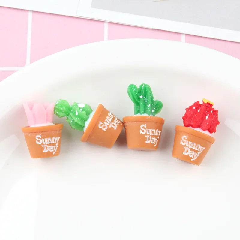 Mini Cactus Decor Set